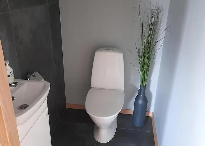 Maja Paernus Privaatse Hoovi, Sauna Ja Tasuta Parkimisega *